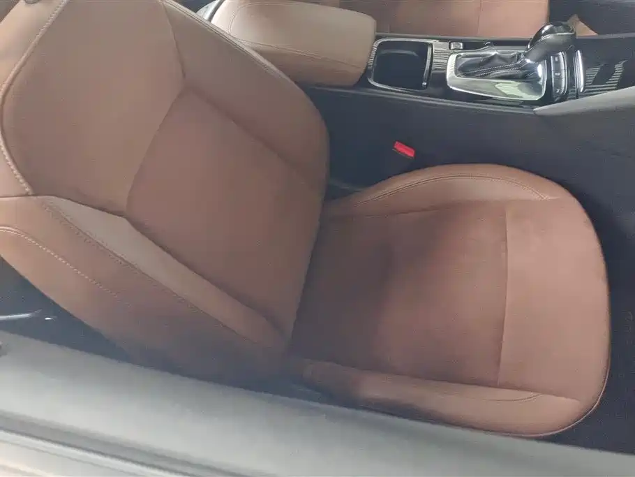Buick Regal 2017 20T Elite Type фото 8