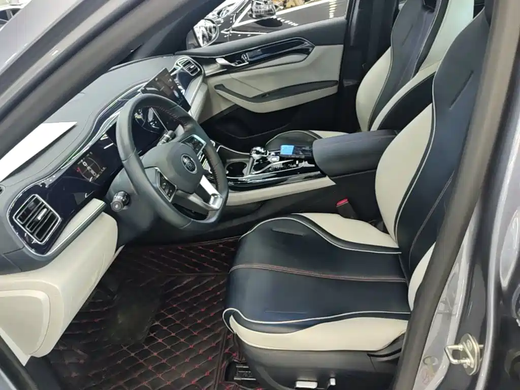 BYD Qin PLUS 2021 2021 DM-i 55KM Flagship