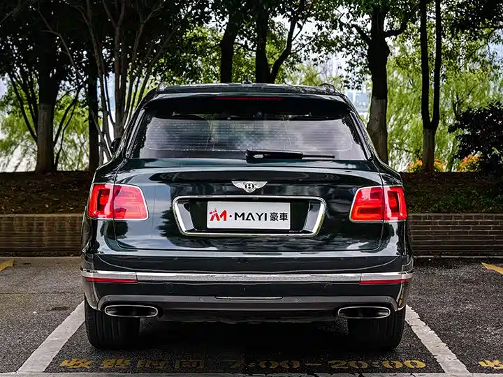 Bentley Bentayga 2016 6.0T Standard Edition фото 3