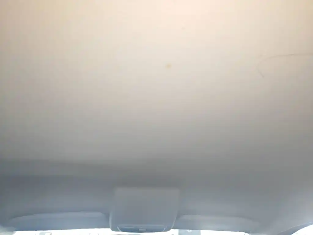 Ford EcoSport 2018 2018 1.5L Automatic Platinum Wing