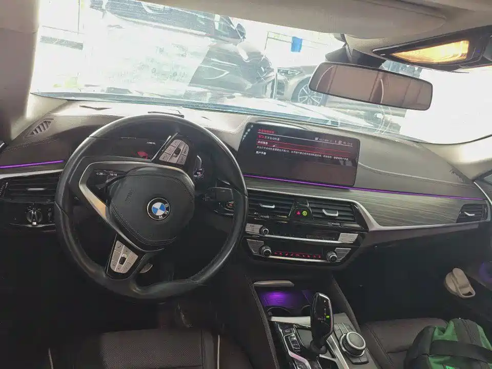 BMW 5 Series 2021 530Li Leading Luxury Package фото 5