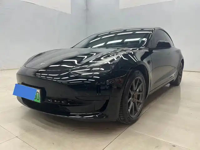 Tesla Model 3 Стандартный запас хода, задний привод, улучшенная, 3D6