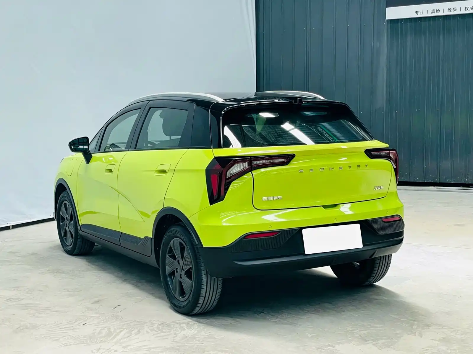 Фото 4 - Geely Geometry E Firefly