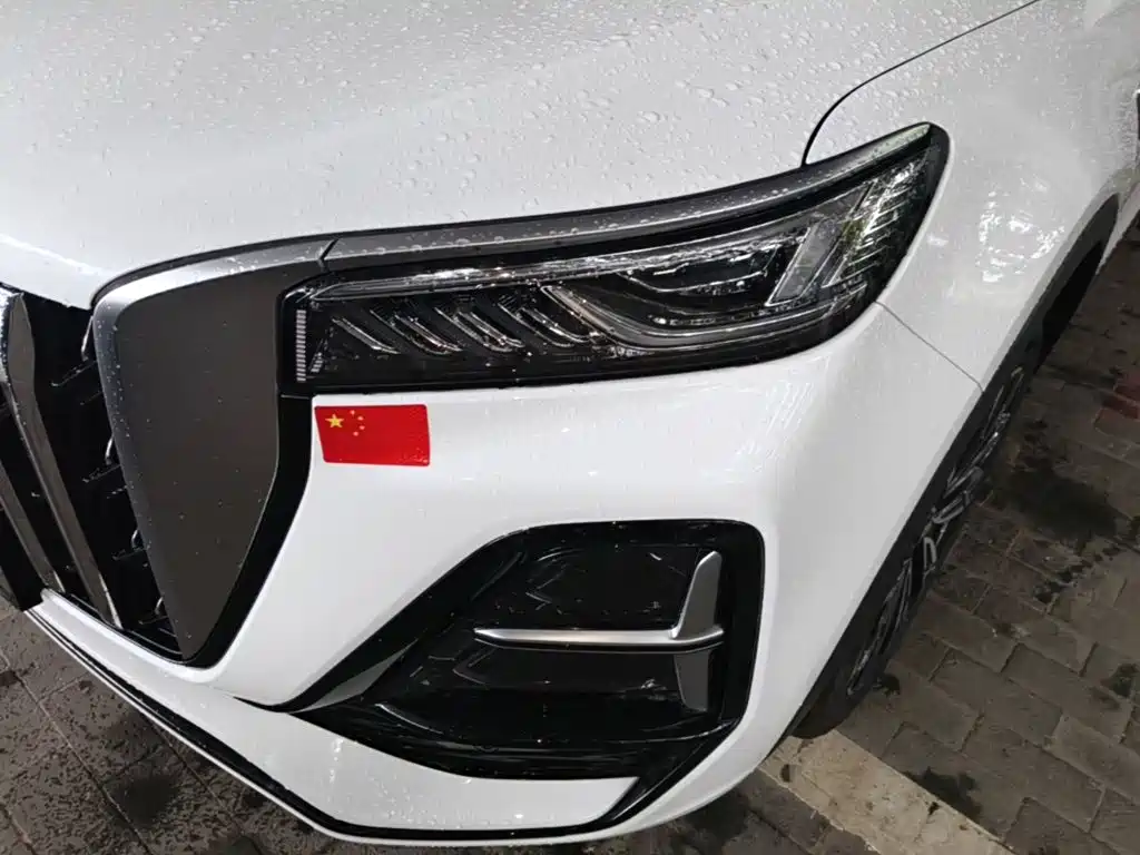 Фото 24 - Hongqi HS5