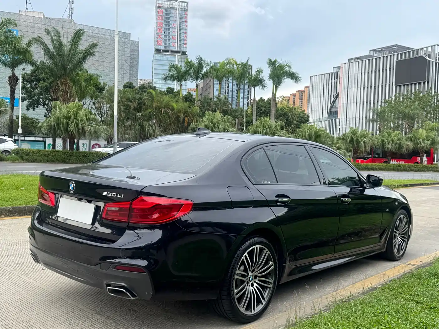 BMW 5 Series 2018 Facelift 530Li Leading M Sport Package фото 4