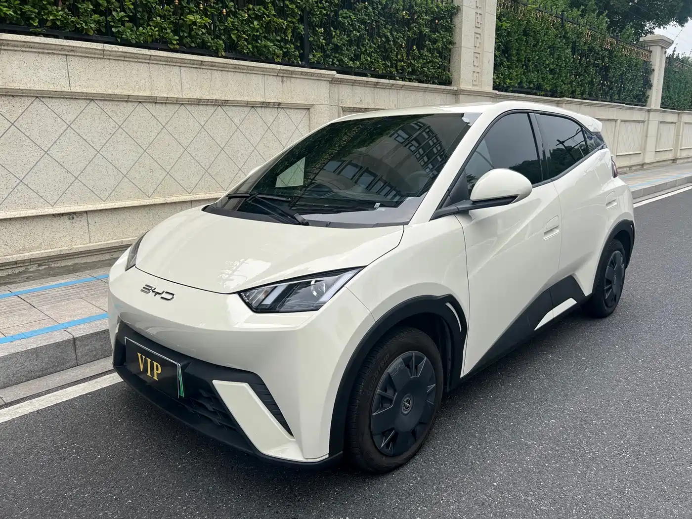 BYD Seagull 2023 Vitality Edition