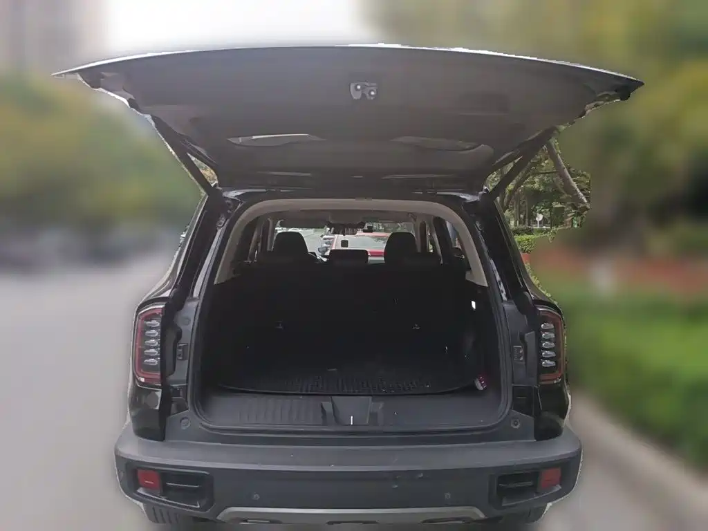 Haval Dargo 2025 2024 1.5T DCT Border Collie Edition