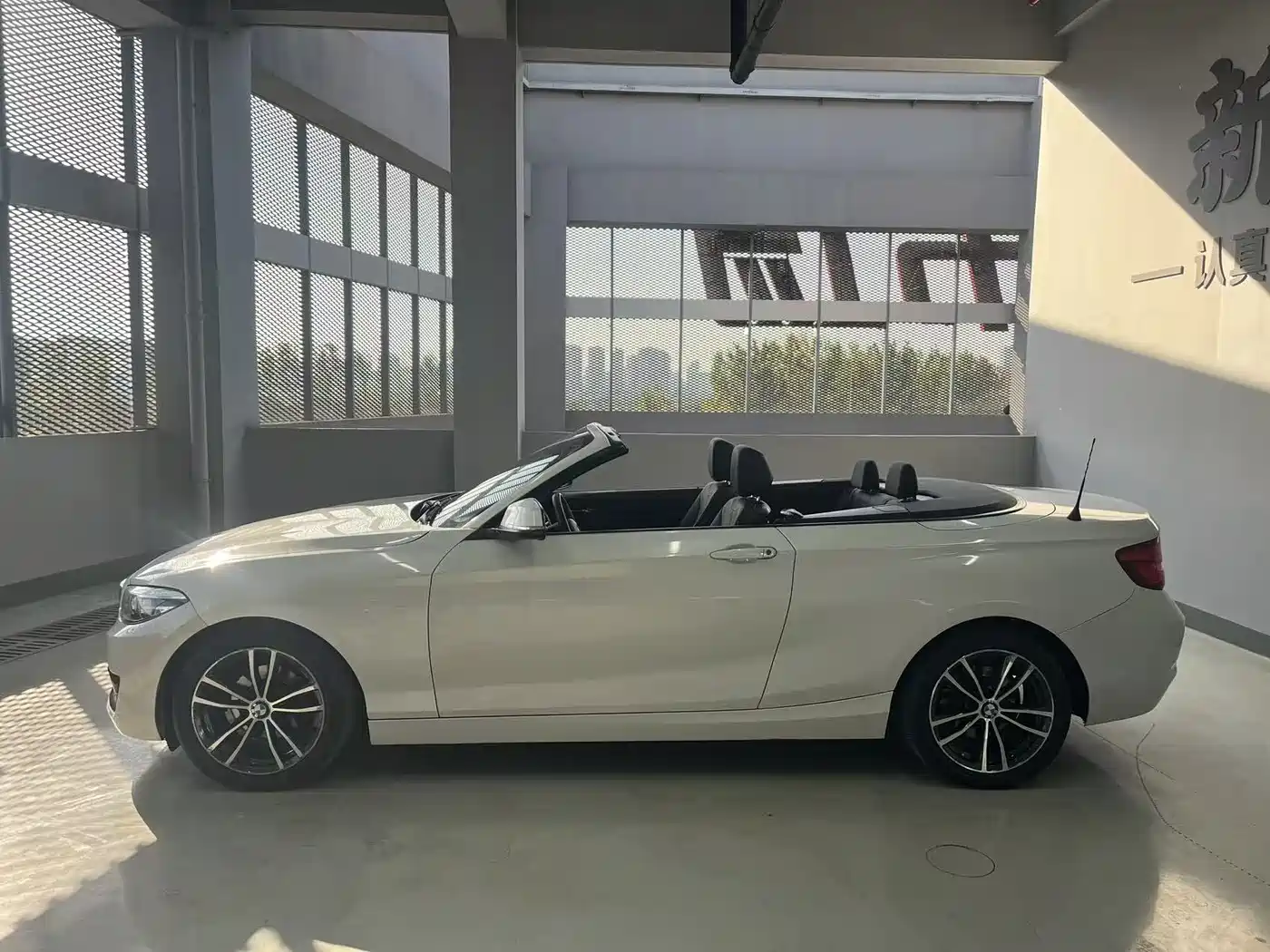 BMW 2 Series (Import) 2018 220i Convertible Coupe Sport Design Package фото 16