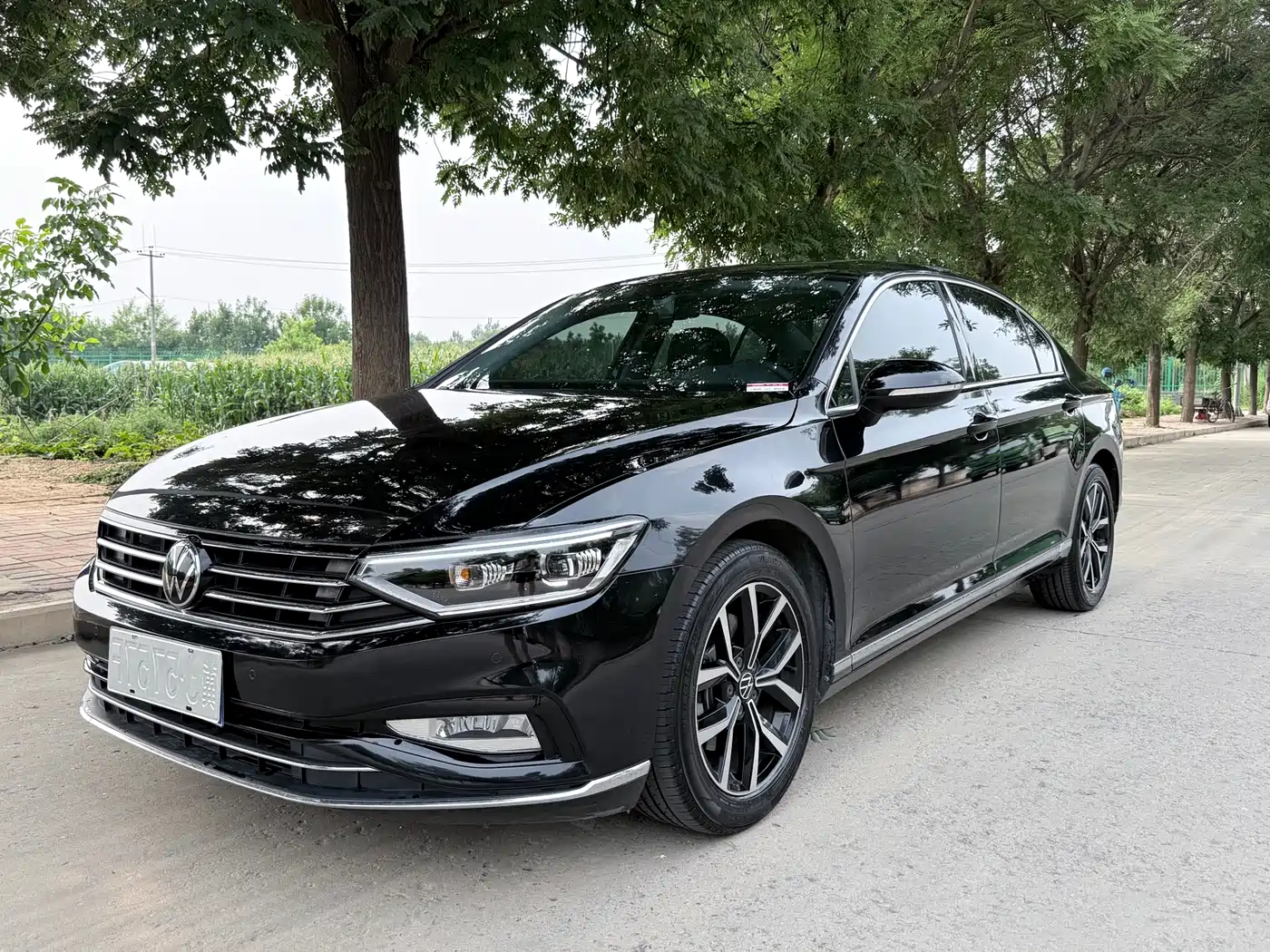Volkswagen Magotan 2020 330TSI DSG Leading