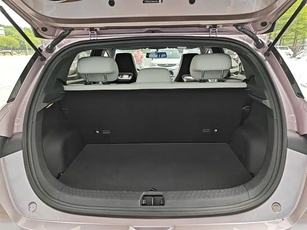 BYD Dolphin 2024 Glory Edition 420km Freedom Edition фото 19