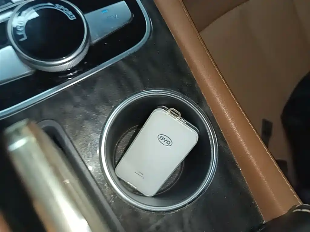 BYD Qin New Energy 2018 1.5T Smart Premium фото 9