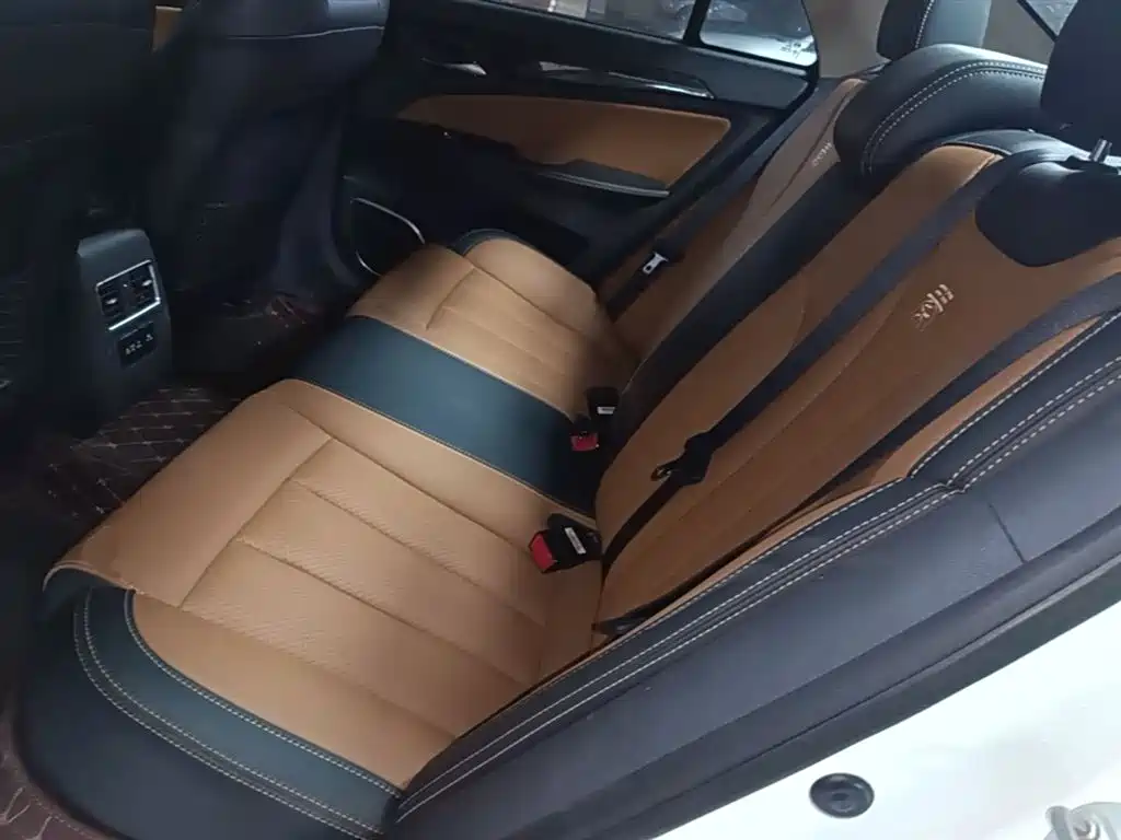 BYD Qin New Energy 2018 1.5T Smart Premium фото 17
