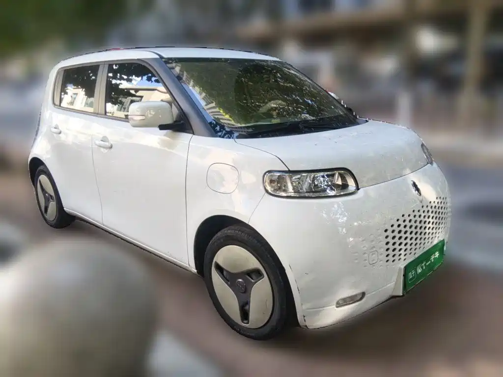 Ora White Cat 2020 2020 360km Luxury Model