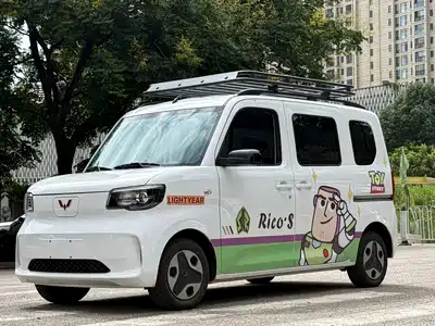 Wuling Sunshine