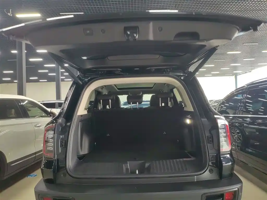 Haval Big Dog 2024 1.5T DCT Border Collie Edition фото 19