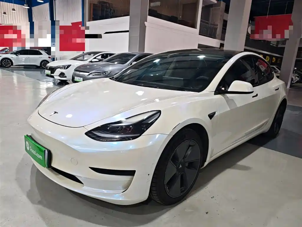 Tesla Model 3 2021 Standard Range Rear-Wheel Drive Upgrade 3D6
