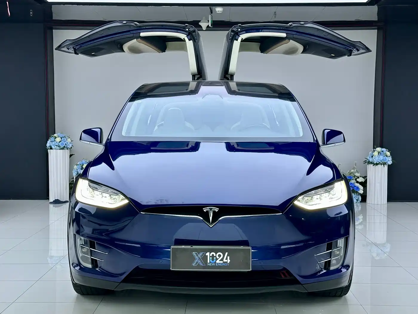 Фото 2 - Tesla Model X