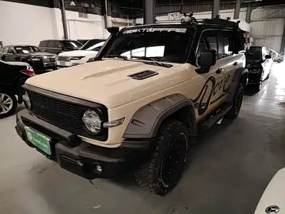 Tank 300