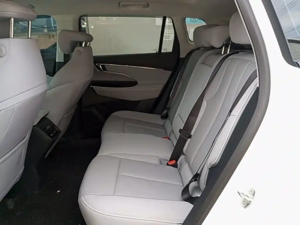 Buick E5 2024 2023 Premium Standard Range Edition