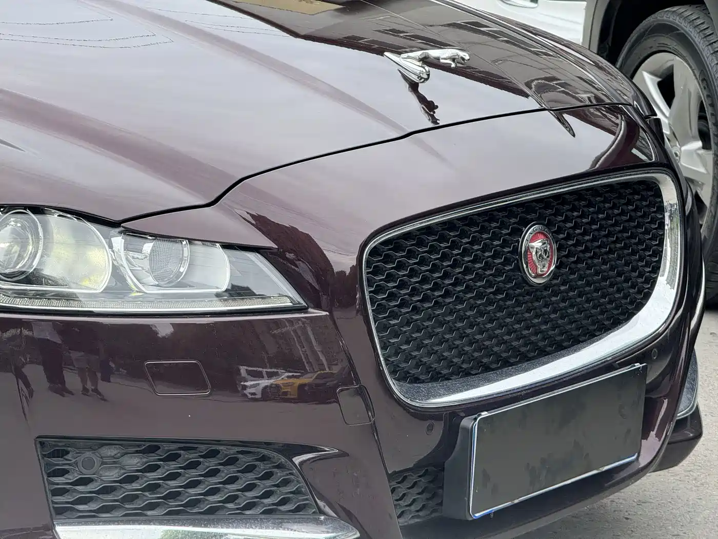 Photo 5 - Jaguar XFL