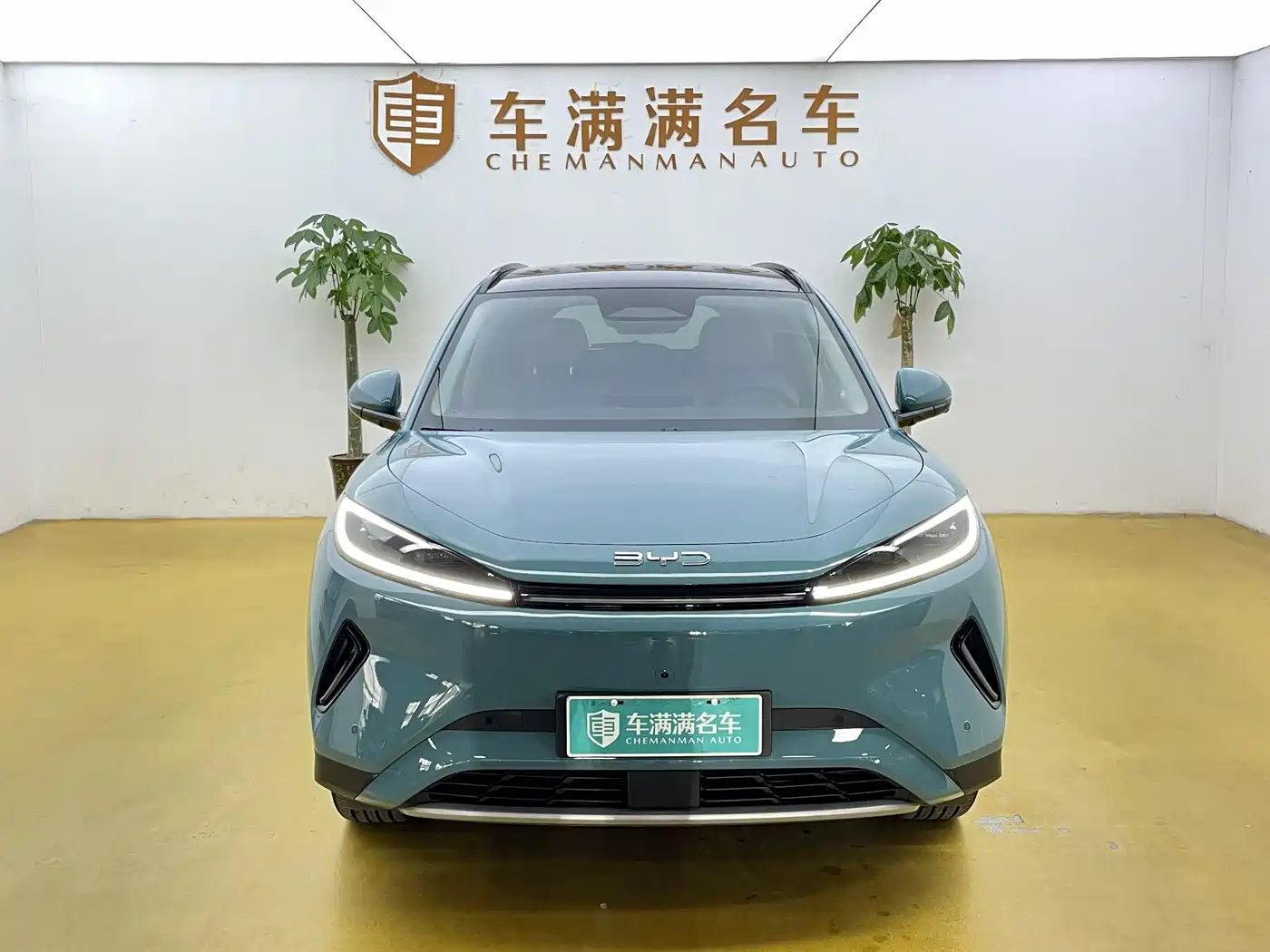 BYD Hai Shi 05 EV 2025 520KM Flagship Smart Navigation Edition фото 2