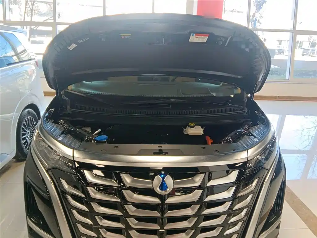 Denza D9 2025 DM-i Smart Drive Edition 1020 AWD Premium фото 16