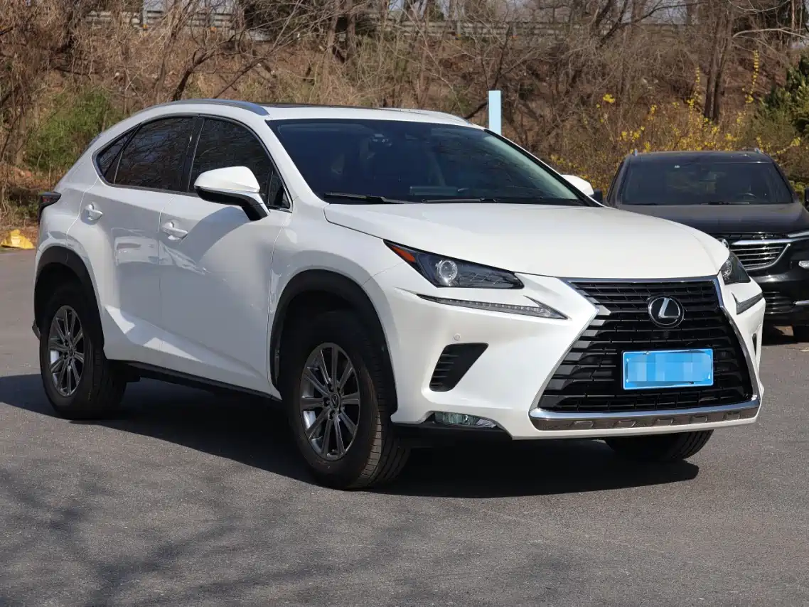Lexus NX 2018 Model 200 AWD Fengshang Edition China V фото 3