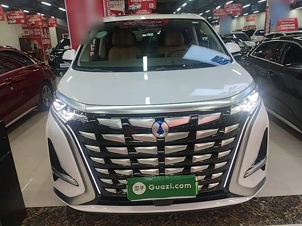 Denza D9 2022 DM-i 970 AWD Flagship фото 3
