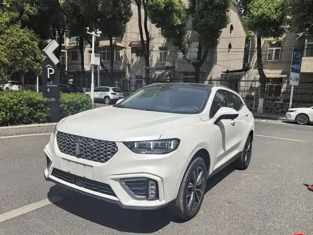 WEI PAI WEI BRAND VV5