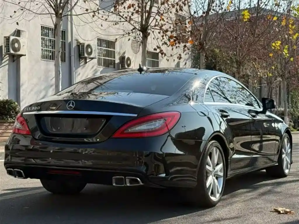 Mercedes-Benz CLS 2012 CLS 300 CGI фото 6