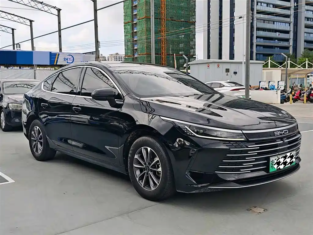 BYD Qin PLUS 2024 Glory Edition DM-i 55KM Leading фото 3