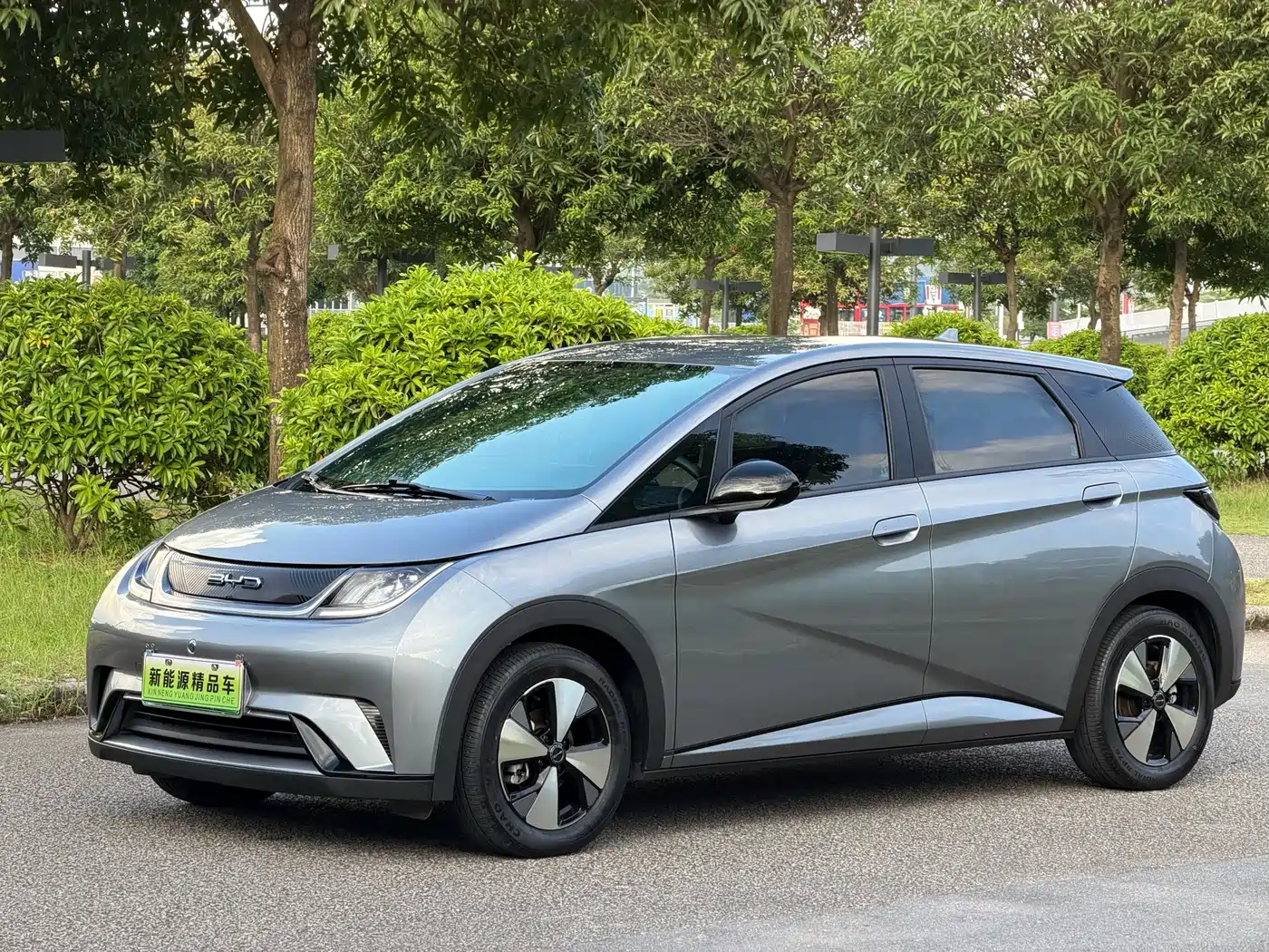 BYD Dolphin 2023 420km Freedom Edition