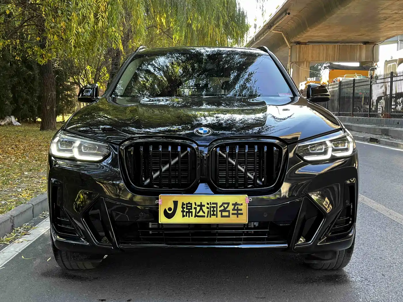 BMW X3 2022 Facelift xDrive30i Leading M Shadow Edition фото 2