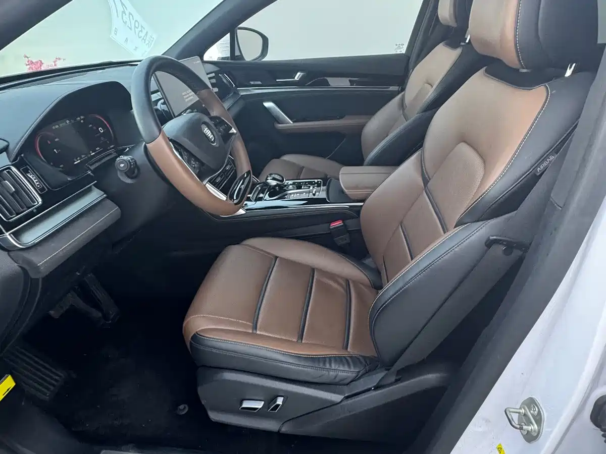 BYD Tang New Energy 2021 DM 2.0T AWD High Performance Premium фото 7