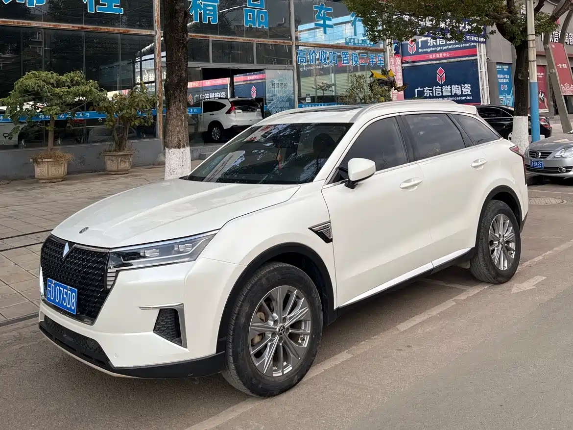  Venucia Venucia Star 2020 260T Automatic 48V Mild Hybrid Turbo Star Enjoy Edition