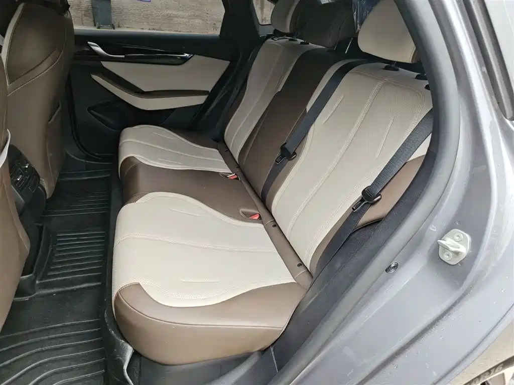 BYD Qin PLUS 2023 Champion Edition DM-i 55KM Leading фото 13