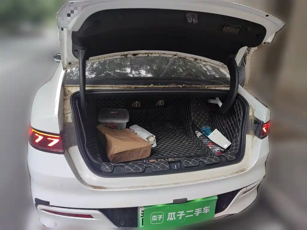 BYD Qin PLUS 2021 DM-i 55KM Flagship фото 20