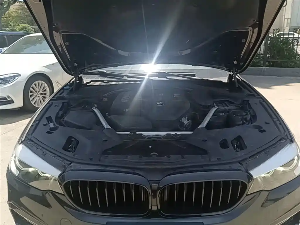BMW 5 Series 2019 530Li Leading M Sport Package фото 20