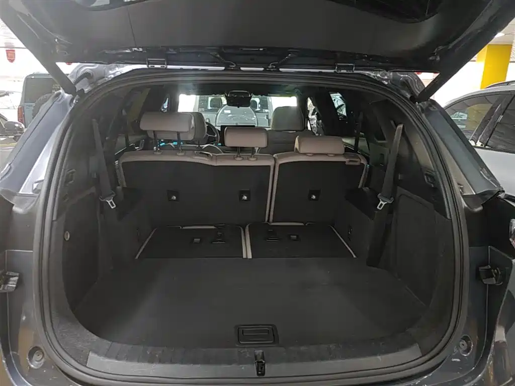 BYD Tang New Energy 2024 DM-i Champion Edition 200KM Premium фото 19