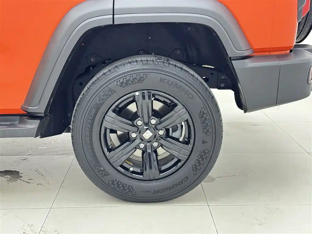 Tank 300 2023 Off-Road Edition 2.0T Conqueror фото 25
