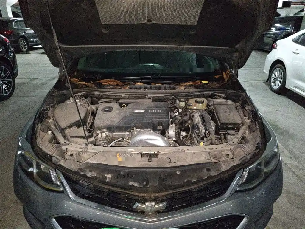 Chevrolet Cruze 2017 1.5L Automatic Pioneer Sunroof фото 16