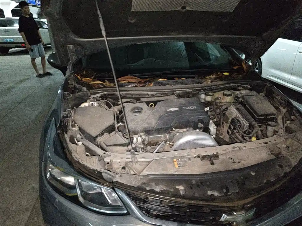 Chevrolet Cruze 2017 1.5L Automatic Pioneer Sunroof фото 22