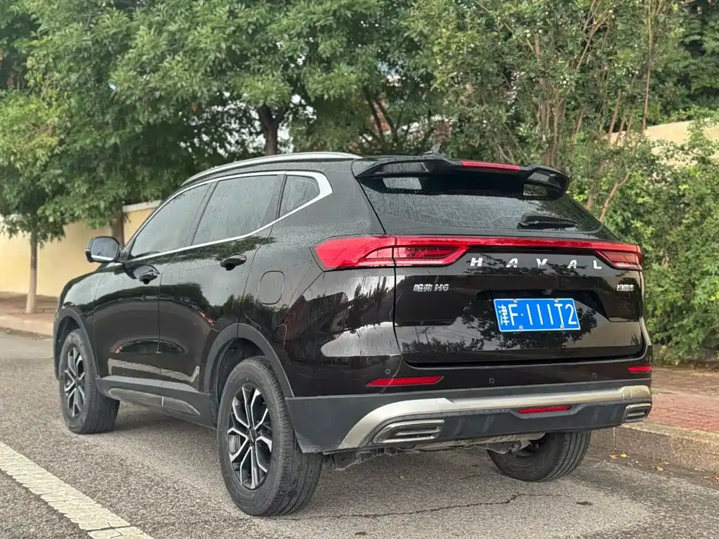 Фото 6 - Haval H6