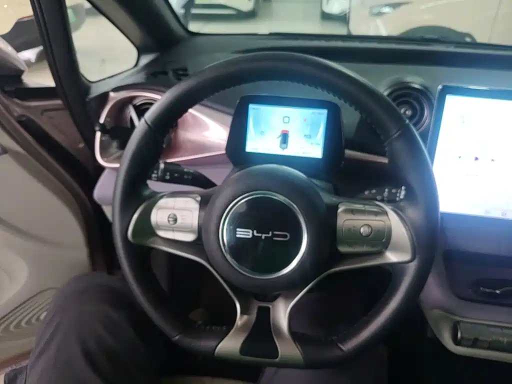 BYD Dolphin 2022 2021 401km Knight Edition