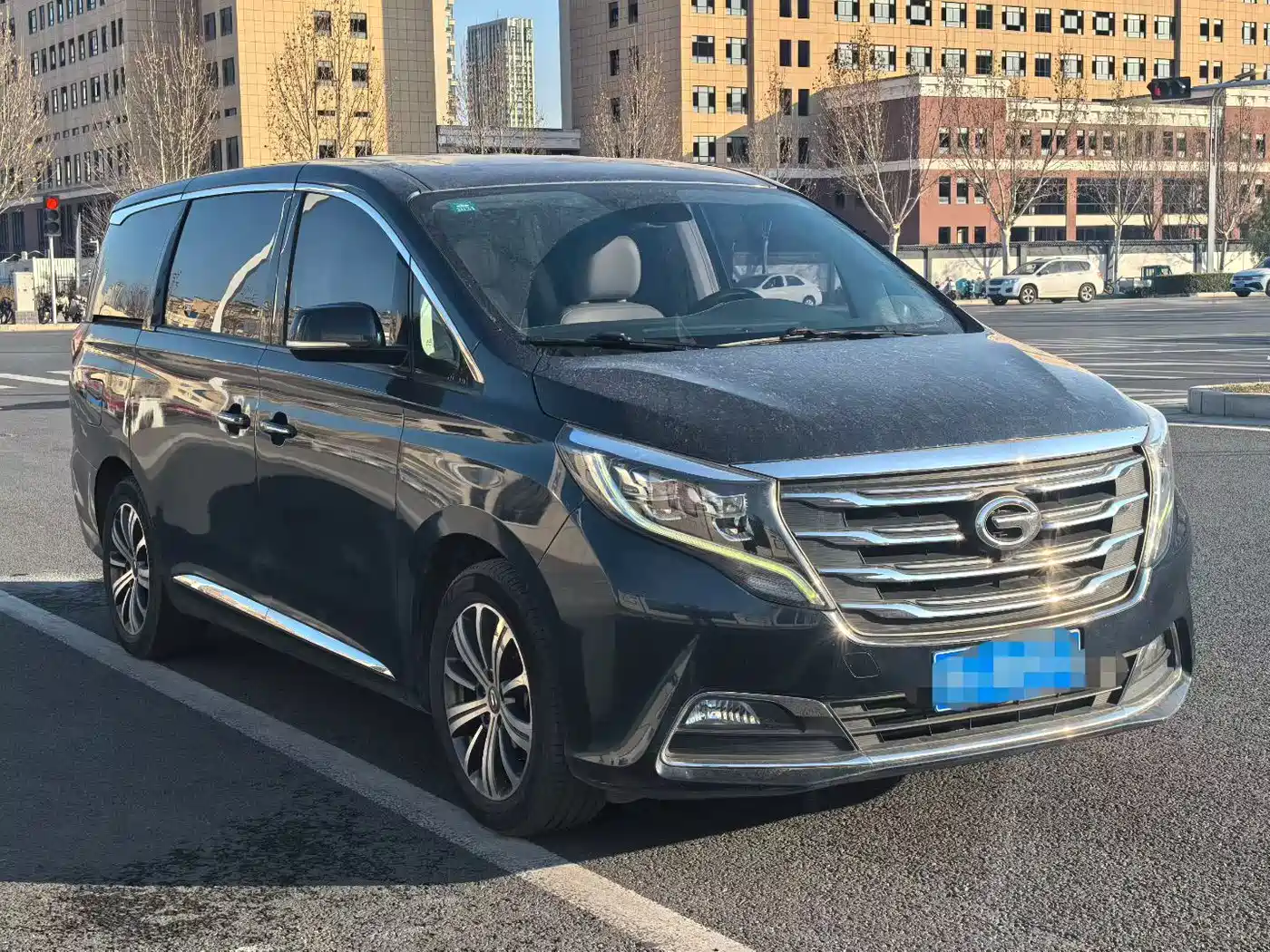 GAC Trumpchi Trumpchi M8 2018 320T Premium Edition фото 3