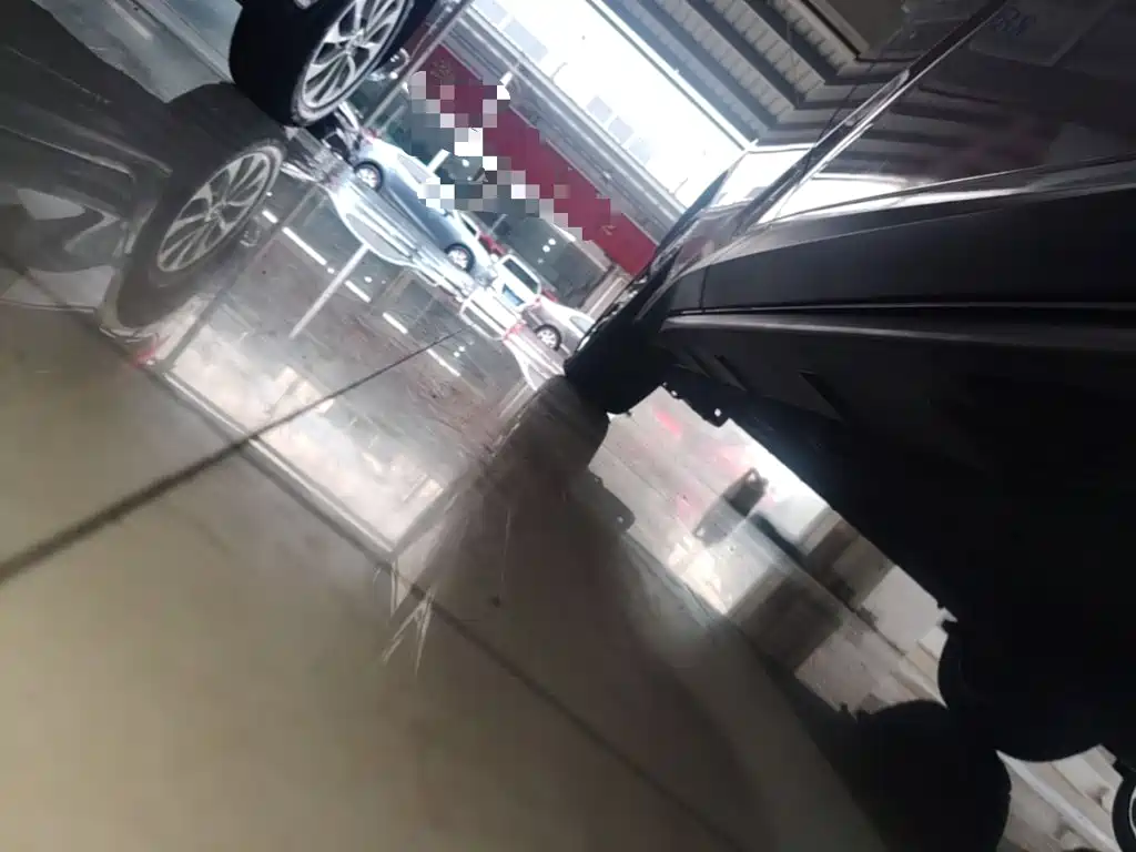 BYD Dolphin 2022 2021 401km Knight Edition