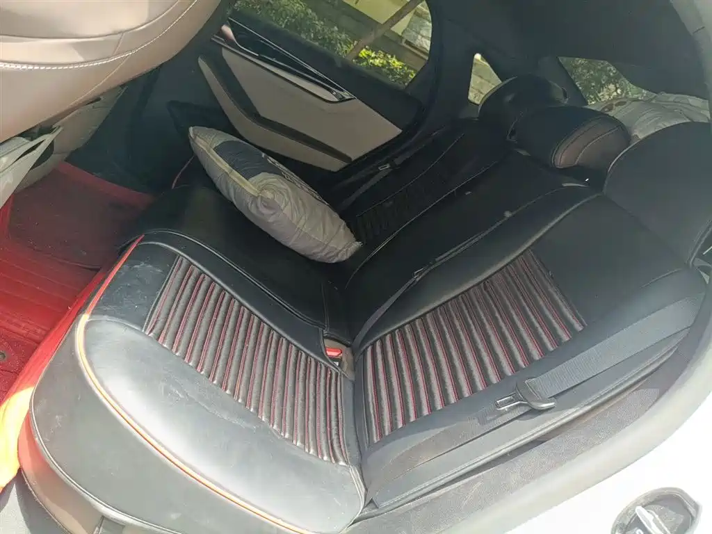 BYD Qin PLUS 2024 Glory Edition EV 510KM Leading фото 15