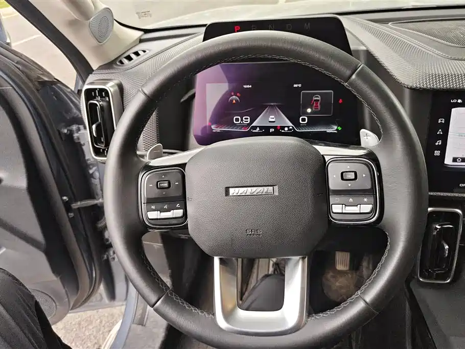 Haval Big Dog 2021 1.5T DCT 2WD Border Collie Edition фото 14