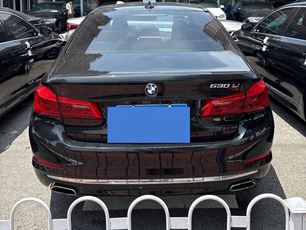 BMW 5 Series 2019 530Li Leading Luxury Package фото 4
