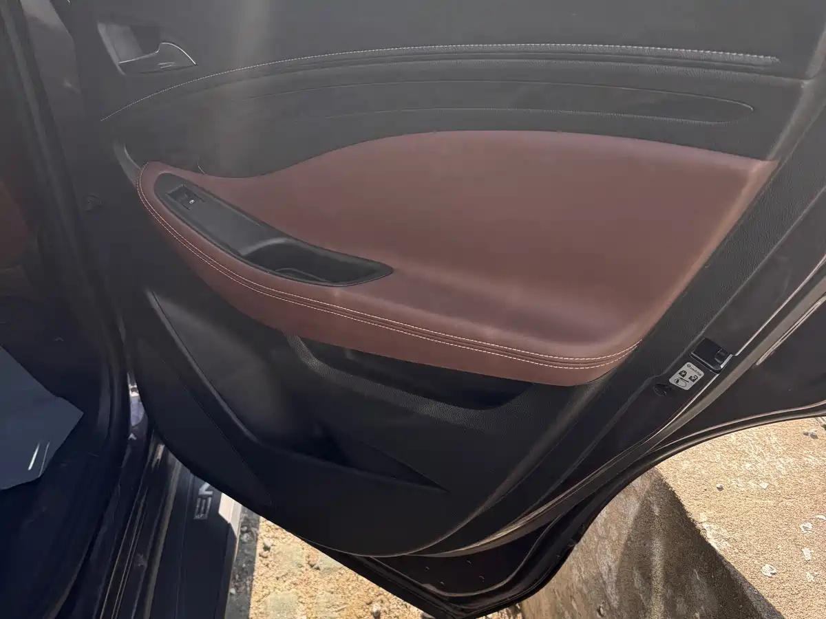 Buick Envision Plus 2016 20T 2WD Elite фото 12